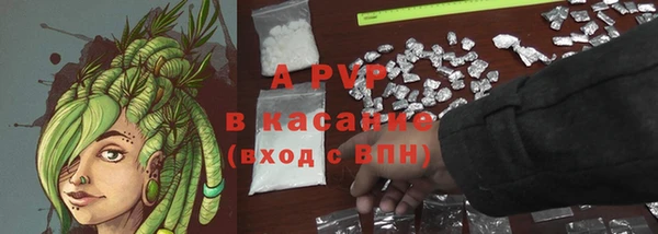 mdpv Белокуриха