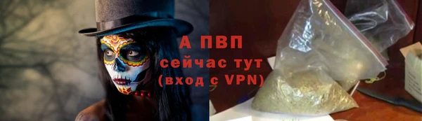 ECSTASY Беломорск