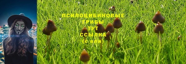 прущая мука Белоозёрский