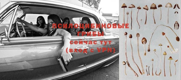 mdpv Белокуриха